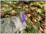 Slika_040.webp