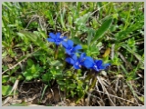 Slika_054.webp