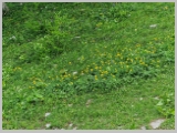 Slika_058.webp