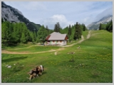 Slika_059.webp