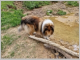 Slika_069.webp