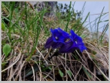 Slika_078.webp
