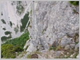 Slika_079.webp