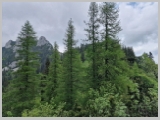 Slika_084.webp