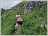 Slika_091.webp