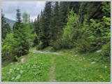 Slika_105.webp