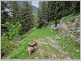 Slika_108.webp