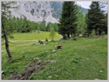 Slika_109.webp