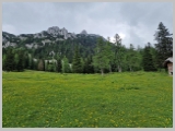 Slika_113.webp