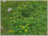 Slika_114.webp