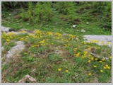 Slika_117.webp