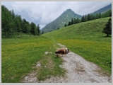 Slika_122.webp