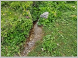 Slika_128.webp
