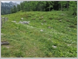 Slika_130.webp