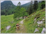 Slika_136.webp
