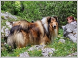 Slika_148.webp