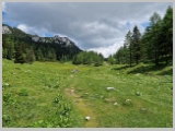 Slika_149.webp