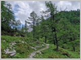 Slika_150.webp