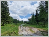 Slika_153.webp