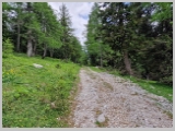 Slika_158.webp