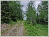 Slika_159.webp