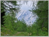 Slika_160.webp