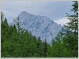 Slika_162.webp