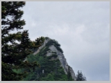 Slika_163.webp