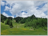 Slika_166.webp