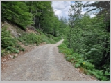Slika_173.webp