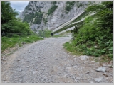 Slika_175.webp
