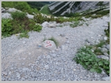 Slika_177.webp