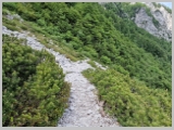 Slika_179.webp