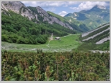 Slika_181.webp