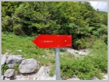 Slika_189.webp