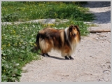 Slika_191.webp