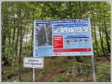 Slika_192.webp
