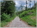 Slika_193.webp