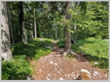 Slika_194.webp