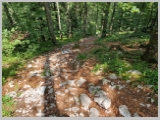 Slika_195.webp