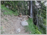 Slika_007.webp