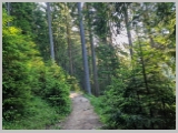 Slika_008.webp