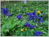 Slika_009.webp