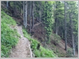 Slika_012.webp