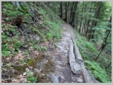 Slika_013.webp