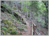 Slika_014.webp
