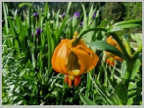 Slika_026.webp