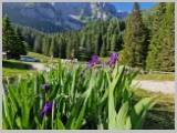 Slika_027.webp