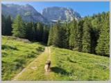 Slika_032.webp