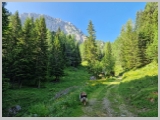 Slika_035.webp